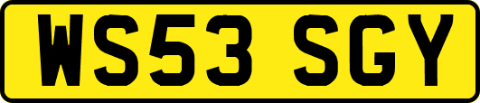 WS53SGY