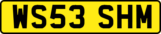 WS53SHM