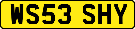WS53SHY