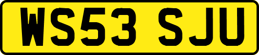 WS53SJU