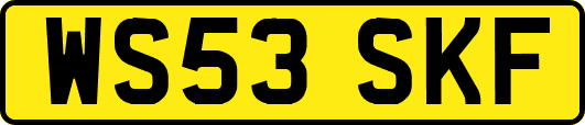WS53SKF