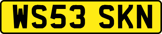 WS53SKN