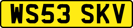 WS53SKV