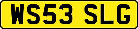 WS53SLG