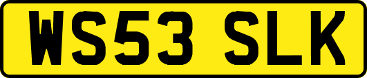 WS53SLK