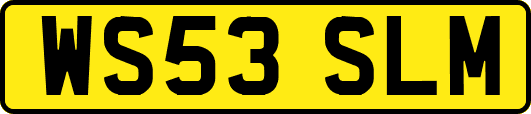 WS53SLM