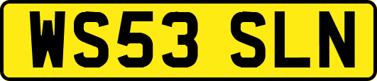 WS53SLN