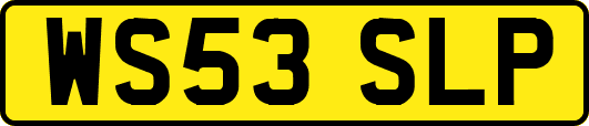 WS53SLP