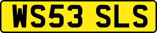 WS53SLS
