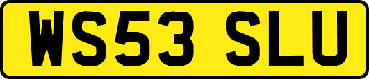 WS53SLU
