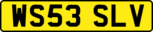WS53SLV