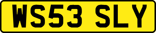 WS53SLY