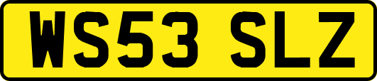 WS53SLZ