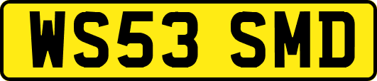 WS53SMD