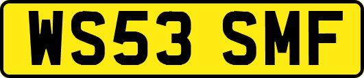 WS53SMF