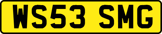WS53SMG