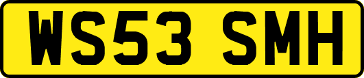 WS53SMH