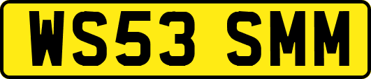 WS53SMM