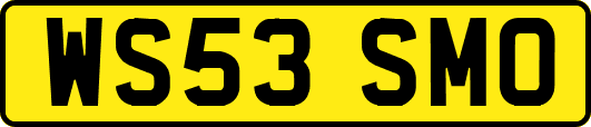 WS53SMO