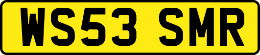 WS53SMR