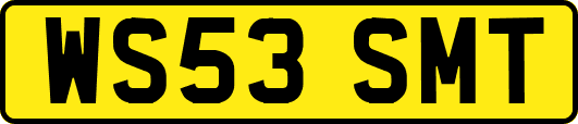 WS53SMT