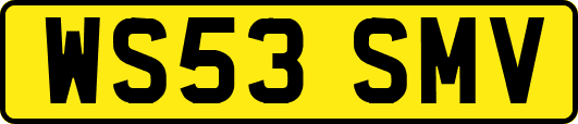 WS53SMV