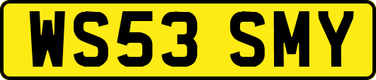 WS53SMY