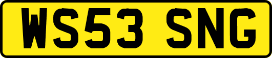 WS53SNG