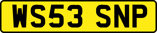 WS53SNP