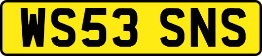 WS53SNS