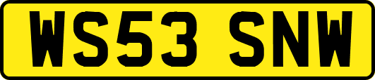 WS53SNW