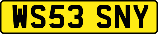 WS53SNY