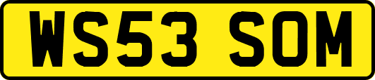 WS53SOM