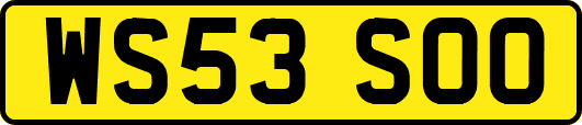 WS53SOO