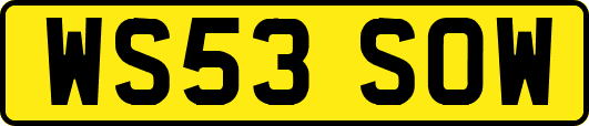 WS53SOW