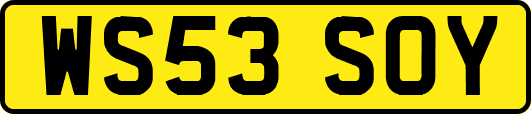 WS53SOY