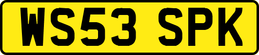 WS53SPK