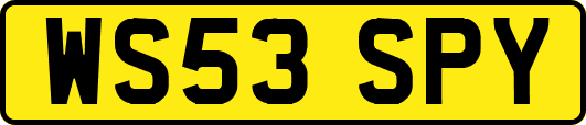 WS53SPY