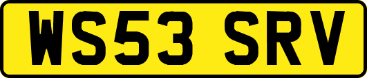 WS53SRV