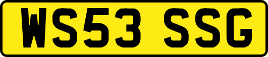 WS53SSG