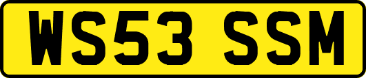 WS53SSM