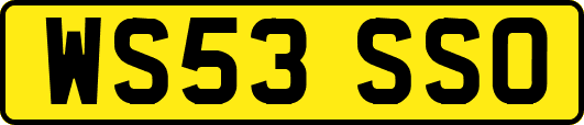 WS53SSO