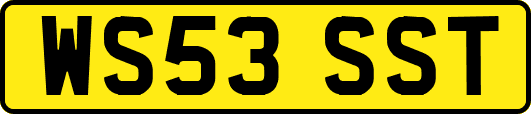 WS53SST