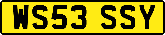WS53SSY
