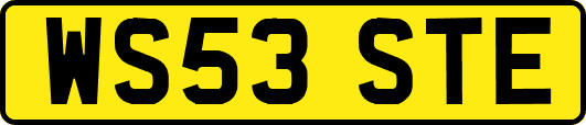 WS53STE