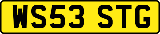 WS53STG