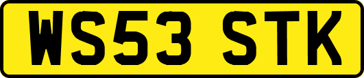 WS53STK