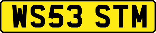 WS53STM