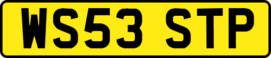WS53STP