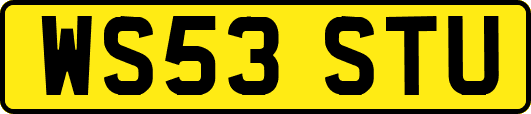 WS53STU